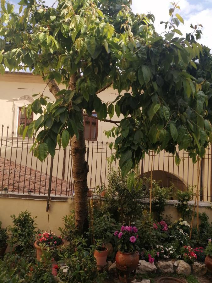 B&B Bone Novelle Dimora Storica Palazzo Zuzi LʼAquila Buitenkant foto